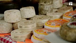 cheese shop in Paris and wine tastings [upl. by Chew]