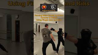 Bruce Lees JKD  Fencing With Hands amp Feet Shorts [upl. by Creight334]