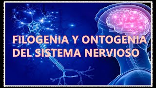 FILOGENIA Y ONTOGENIA DEL SISTEMA NERVIOSO [upl. by Nivlen]