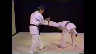 Aikido from scratch to perfection [upl. by Retsam]