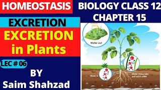 Biology Class 12 Chapter 15 Homeostasis Topic Excretion Excretion in Plants in UrduHindi [upl. by Warrick]