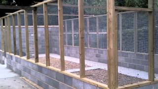 Riverside Animal Centre New Aviary 2012 [upl. by Flannery548]