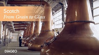 The Making of Scotch Whisky from Grain to Glass  Diageo [upl. by Lucie]