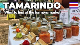 Discover Hidden Gems at Tamarindo Farmers Market  Costa Rica’s Guanacaste Region [upl. by Germann]