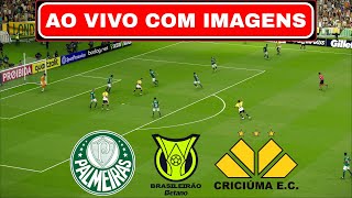 🔴PALMEIRAS X CRICIÚMA AO VIVO COM IMAGENS  BRASILEIRÃO 2024  ASSISTIR JOGO AO VIVO [upl. by Taro]