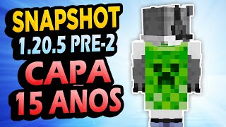 ✅ Capa 15 AÑOS 👉 Snapshot Minecraft 1205 PreRelease 2 [upl. by Holli]