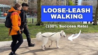 Train ANY Dog to Walk on a Loose Leash Stop Leash Pulling [upl. by Troth]