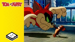 Lightning Cat  Tom and Jerry  BoomerangUK  Cartoons for Kids [upl. by Secnarfyram]