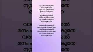 Nyabagam song lyrics malayalamsonglyrics malayalam [upl. by Allison]