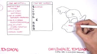 Cholinergic and Anticholinergic Toxicity Toxidrome [upl. by Elamaj]