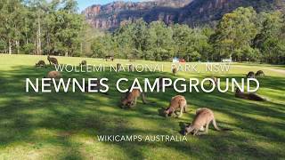 Newnes Campground  Wollemi National Park New South Wales Australia [upl. by Eisen]