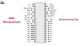 8085 Microprocessor Pin Diagram in 2 minutes Guaranteed Learn ShortcutTrick [upl. by Kohcztiy]