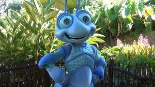 Flik Meet and Greet at Disney California Adventure Disneyland Resort California  A Bugs Life [upl. by Dorinda]