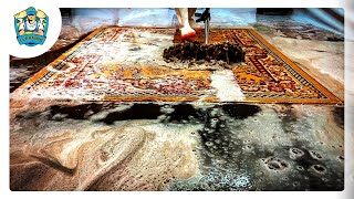 carpet cleaning videos  cleaning rugs satisfying compilation 01 [upl. by Payton]