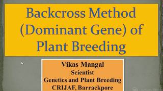 Backcross Method for Dominant Gene Transfer  Vikas Mangal Scientist ICAR  CRIJAF [upl. by Llenoj]