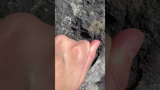 LISTEN to Hollow Rock  Whats inside geology rocks fossils minerals rockhounding asmr [upl. by Margalit139]