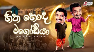 Chooty Malli Podi Malli  Hitha Hoda Magodiya හිත හොඳ මගෝඩියා [upl. by Gianna]