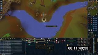 1 Hour of Fly Fishing With Crystallise amp Light Form [upl. by Asilav]