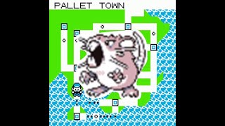 Pokemon BlueRed Raticate Solo Run [upl. by Paske882]