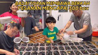 ANGIN TOPAN MEMBAWA BERKAH PESANAN TEMBUS 300 BOX PAPA SAMPAI TURUN TANGAN [upl. by Thaddus751]