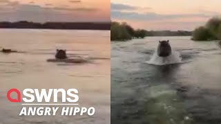 Shocked sightseers get chased by a giant angry hippo in Lake Victoria Kenya  SWNS [upl. by Bette]