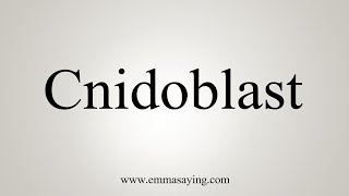 How To Say Cnidoblast [upl. by Ebsen]