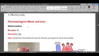 ANS Parasympathomimetic drugs [upl. by Toh599]