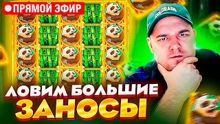 ЗАНОСЫ В DOG HOUSE shortvideo shortsstory [upl. by Cynera401]