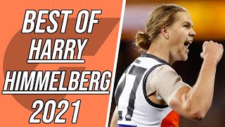 Harry Himmelberg 2021 AFL Highlights [upl. by Eidod837]