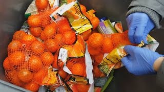 Food waste How much food do supermarkets throw away CBC Marketplace [upl. by Goerke]