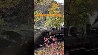 Honking thru the Essex CT valley steamenginetrain steam steamengine essex riverboat shorts [upl. by Sivrahc]