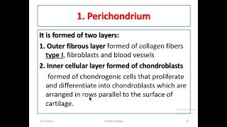 Cartilage histology [upl. by Ehcnalb]
