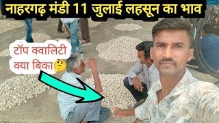 11 जुलाई मंडी भाव  Nahargarh Mandi Bhav Today garlic Rate Aaj ka Mandi bhav  Lahsun ka bhav [upl. by Adachi]