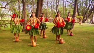 Beautiful Hula  Polynesian Dancers [upl. by Aborn]