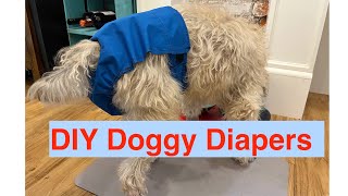 DIY Dog Diapers urinary incontinence Its a game changer [upl. by Oesile]