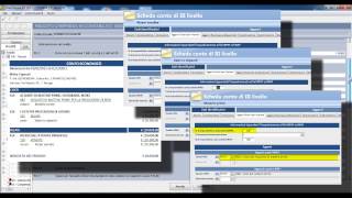 La compilazione delle dichiarazioni fiscali con il software Blustring [upl. by Nnewg]