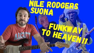 Nile Rodgers suona Stairway to heaven  Ritmica funk tutorial [upl. by Thibaud784]