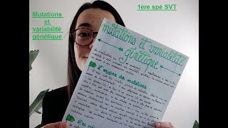 Mutations et variabilité génétique  1ère spé SVT  Madame SVT [upl. by Irami]