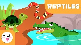 Les reptiles pour enfants  Les animaux vertébrés  Les sciences naturelles pour enfants [upl. by Isle107]