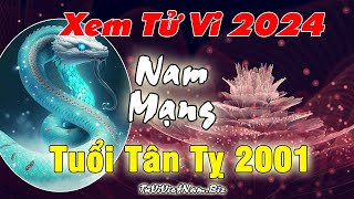 Xem tử vi tuổi Tân Tỵ 2001 năm 2024 nam mạng Vận Hạn  Tài Lộc đầy đủ chi tiết nhất [upl. by Leahcimluap]