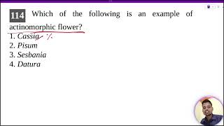 Which of the following is an example of actinomorphic flower1 Cassia2 Pisum3 Sesbania4 Datura [upl. by Boynton]