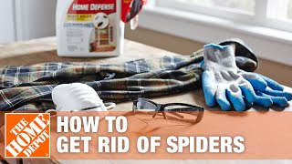 How to Get Rid of Spiders in Your House  The Home Depot [upl. by Nair309]