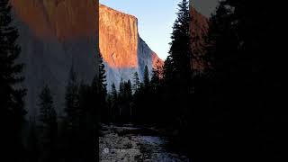 1Minute Visual Nature Meditation with 639 Hz Frequency  Trees Mountain amp River [upl. by Hill]