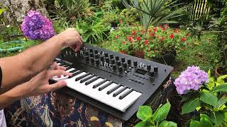 Ambient garden  Relaxing arps with the Minilogue XD [upl. by Tabor]