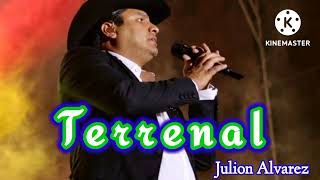 Terrenal  Julion Alvarez [upl. by Atnauqahs253]