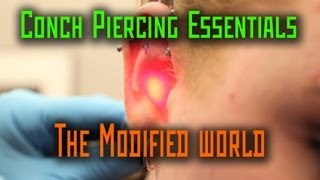 Conch Piercing Essentials THE MODIFIED WORLD [upl. by Eissed]