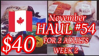 GROCERY HAUL 54 40 FOR TWO ADULTS November Week 2  foodvlog shopping food grocerybudget [upl. by Aicilanna525]