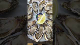 Arcachon Bay oysters France [upl. by Nyledam]