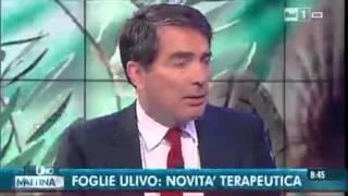 Infuso di foglie di olivo rai  Uno Mattina [upl. by Padriac209]