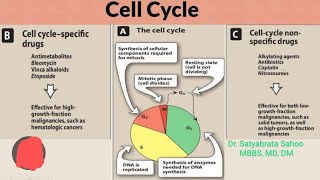 Cell Cycle Specificity of Antineoplastic Drugs [upl. by Filberto207]